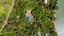 280 Moetapu Bay Road, Moetapu Bay, Picton - Carousel 26