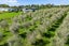 3 Bagnal Road, Kaiwaka - Carousel 20