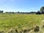 242 Utopia Road, Westport, Westport - Carousel 12