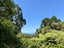 16 Manuka Road, Titirangi, Auckland - Carousel 15