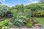 69 Albert Road, Devonport, Auckland - Carousel 17