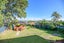 8 Kitchener Road, Takapuna, Auckland - Carousel 13