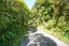 32 Korimako Avenue, Otatara - Carousel 38