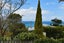 38 Cumberland Street, Leigh, Leigh - Carousel 15