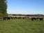 0 Ellison Rd, Norsewood - Carousel 7