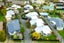 1/32 Rose Street, Somerfield, Christchurch - Carousel 18