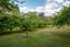 435 Pine Valley Road, Dairy Flat, Silverdale - Carousel 47