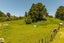 2 Ohoeka Street, Owhango, Owhango - Carousel 22