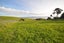 100 Wairoa Gorge Road, Wairoa Valley - Carousel 32