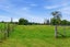 119 Williams Road, Orari, Geraldine - Carousel 29