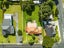 22 Kauika Road, Avenues, Whangarei - Carousel 2