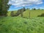 81 Maudes Road, Deborah - Carousel 4