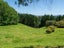 26 Tupelo Place, Ohauiti, Tauranga - Carousel 14