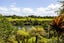 1881 River Road, Flagstaff, Hamilton - Carousel 48