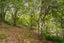 16 Hillside Lane, The Brook, Nelson - Carousel 28