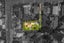 100 Ladies Mile, Remuera, Auckland - Carousel 2