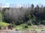 312A Lakes Boulevard, Pyes Pa, Tauranga - Carousel 4