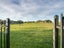 74 Merlot Drive, Greenmeadows, Napier - Carousel 20