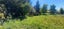 66 Birchwood Road, Ohai, Ohai - Carousel 2