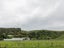 305 Church Road, Greenmeadows, Napier - Carousel 16