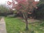 71 Cutts Road, Russley, Christchurch - Carousel 9