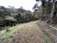 0 Hihi Road, Hihi, Mangonui - Carousel 1