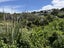 37A Hendry Avenue, Hillsborough, Auckland - Carousel 23