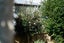 54B Kurahaupo Street, Orakei, Auckland - Carousel 25