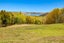 1180 Oneriri Road, Kaiwaka - Carousel 31