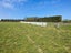 119 Gartartan Road, Willowby, Ashburton - Carousel 1