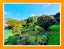 19 Lorraine Avenue, Mount Albert, Auckland - Carousel 20