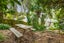 32 Alexander Street, Kingsland, Auckland - Carousel 18