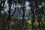 0 Taupo Bay Road, Taupo Bay, Mangonui - Carousel 7