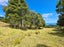 1702 Colville Road, Amodeo Bay, Coromandel - Carousel 17