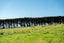 33 Irwin Street, Riverton/Aparima - Carousel 7