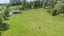 245B Wallace Road, Koputaroa, Shannon - Carousel 6