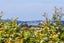 1/4 Acacia Road, Torbay, Auckland - Carousel 2
