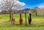 47 Wilson Road, Wellsford, Wellsford - Carousel 18