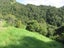 320 Takahue Saddle Road, Takahue, Kaitaia - Carousel 21