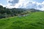294B BUSBY ROAD, Katikati, Western Bay Of Plenty - Carousel 21