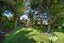 52 Burgess Road, Johnsonville, Wellington - Carousel 20
