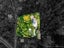 16, 18 and 20 Coombe Hay Terrace, Careys Bay, Dunedin, Otago - Carousel 29
