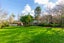 34A White Swan Road, Mount Roskill, Auckland - Carousel 22