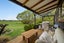 3440 Becks-Lauder Road, Lauder, Omakau - Carousel 6