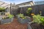 10 Long Acre Close, Katikati, Katikati - Carousel 14