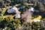 380 Muriwai Road, Waimauku, Waimauku - Carousel 24