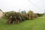 20 Aerodrome Road, Anderson Park, Invercargill - Carousel 37