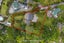 149C Glengarry Road, Glen Eden, Auckland - Carousel 2