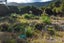 2677 Kaiuma Bay Road, Kaiuma Bay - Carousel 7