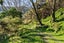 240 Cave Road, Waimatā - Carousel 20